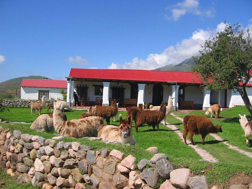 Country house Carreras Tafi del Valle