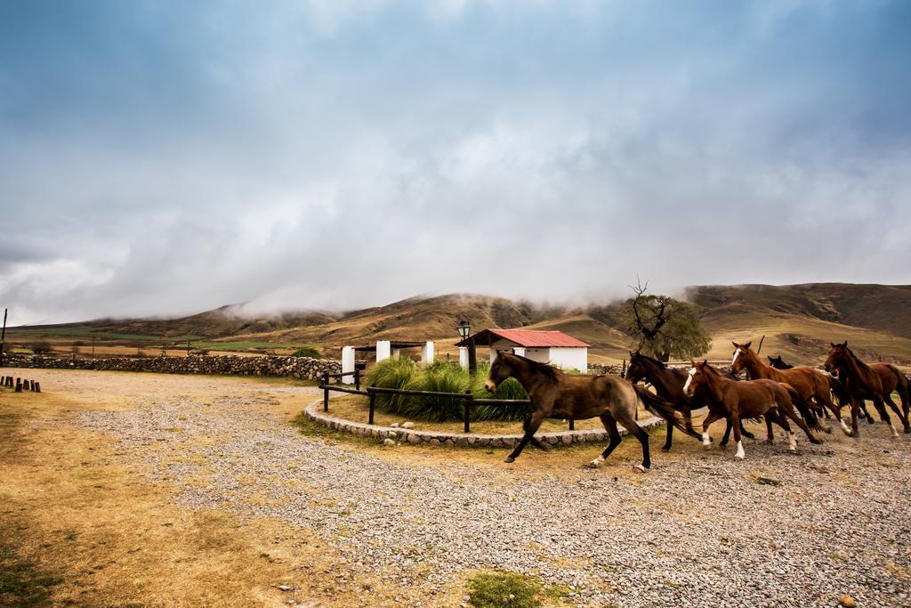 Country house Carreras