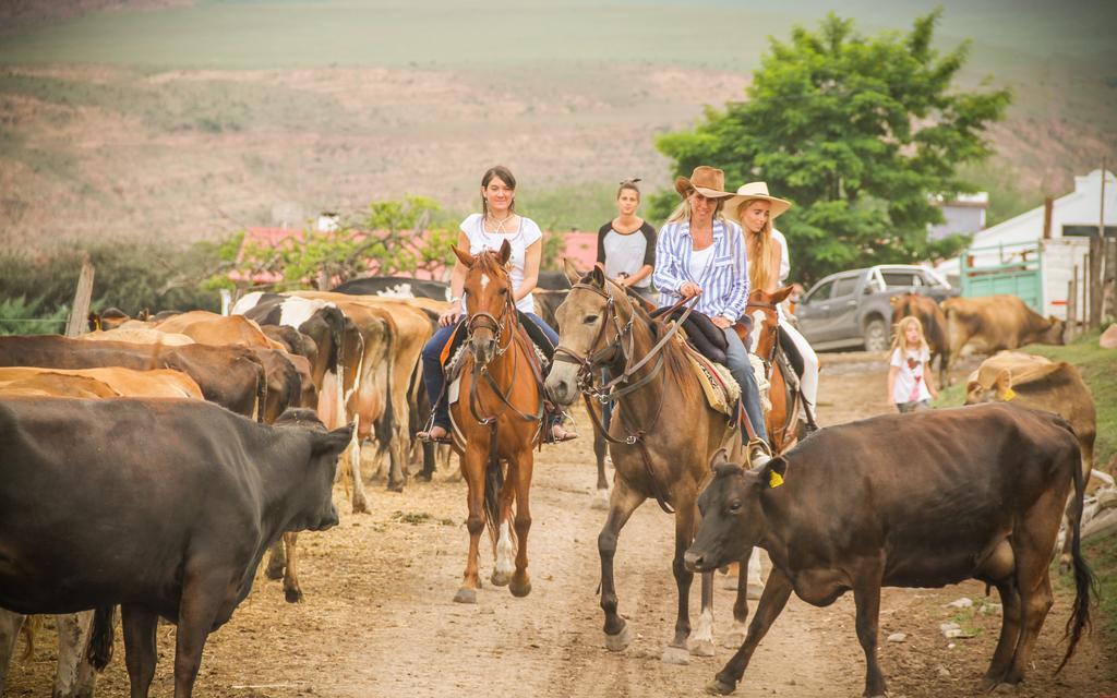 Country house Carreras *